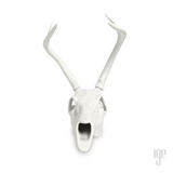 Porcelain White Tail Deer Skull