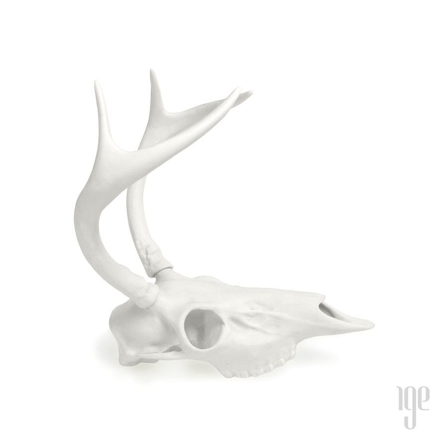 Porcelain White Tail Deer Skull