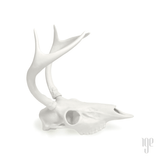 Porcelain White Tail Deer Skull