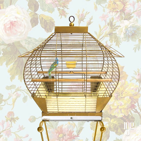 50s Hollywood Regency Bird Cage with Pedestal Stand