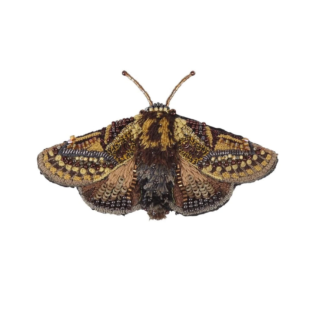 Gold Moth Brooch | Trovelore
