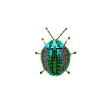 Green Leaf Beetle Brooch | Trovelore