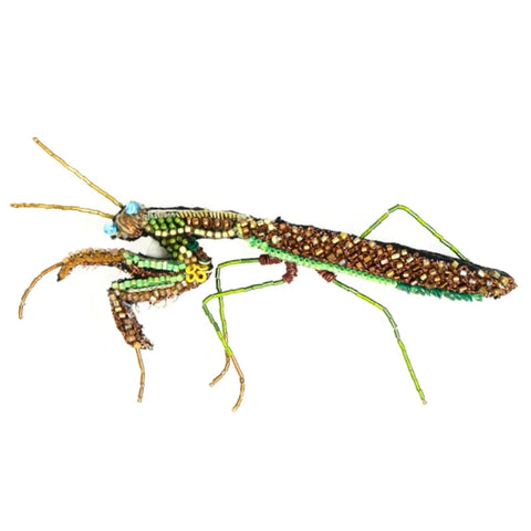 Green Crowned Woodnymph Brooch | Trovelore