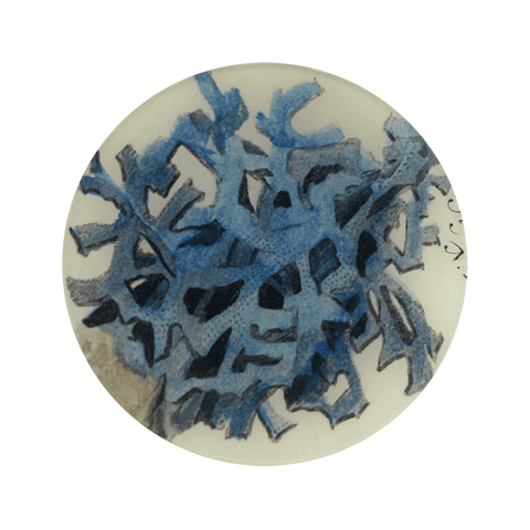 Blue Coral Plate - 5.75" Round