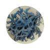 Blue Coral Plate - 5.75