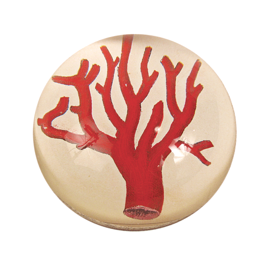 John Derian Red Coral Dome Paperweight
