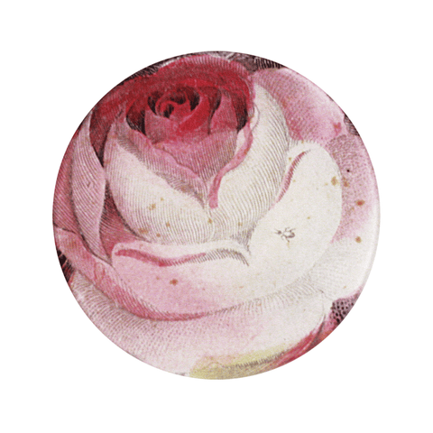 Rose with Ant Plate