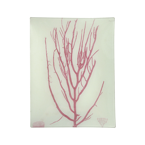 John Derian Seaweed #3 (LX) Tray