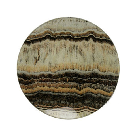 Specimen #2 Plate - 7" Round