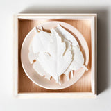 HA KO White Paper Incense - Wooden Box Set of 6 With Incense Dish