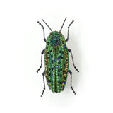 Lamprodila Beetle Brooch  | Trovelore