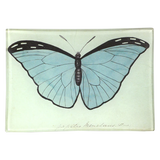 Blue Butterfly Tray