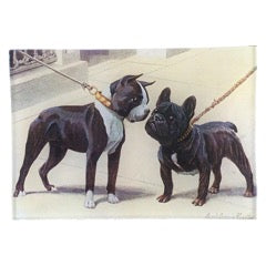 Boston Terrier & French Bulldog Tray