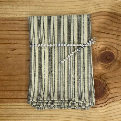 Ige Cloth Napkins | Chambray