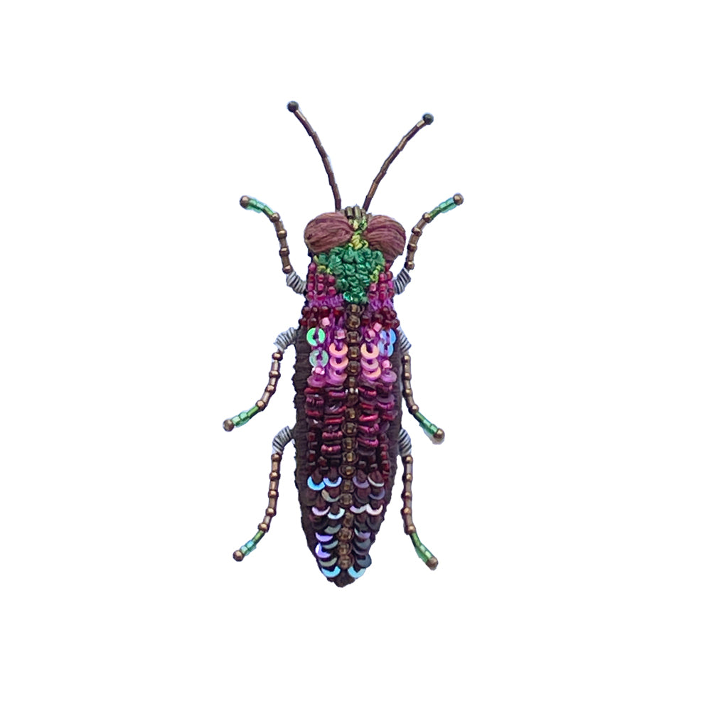 Pink Jewel Beetle Brooch | Trovelore