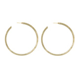 Large Horn Earrings