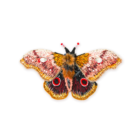 Emperor of India Butterfly Brooch | Trovelore