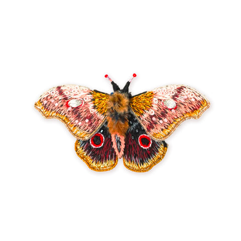 Claudina Orange Butterfy Brooch | Trovelore