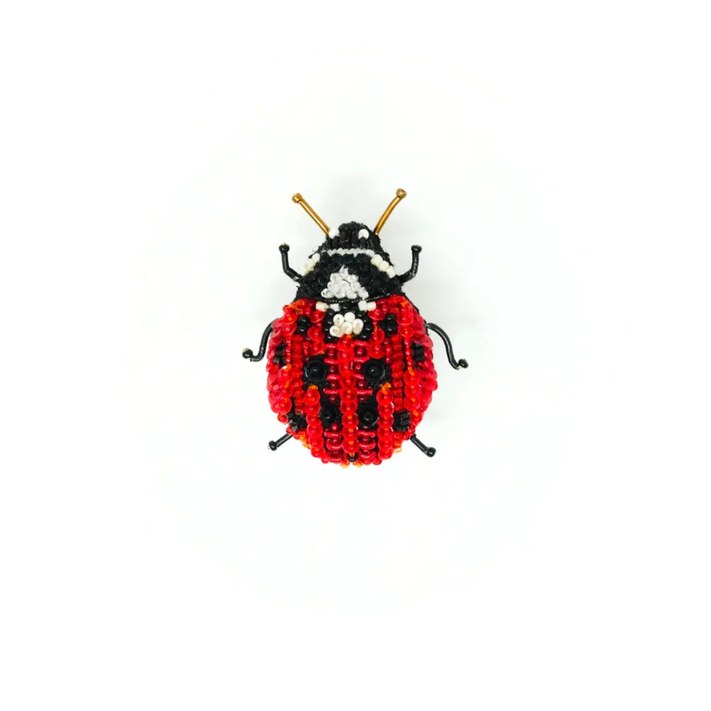 Lady Bug Beetle Brooch | Trovelore