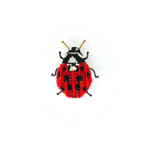 Lady Bug Beetle Brooch | Trovelore