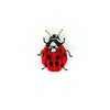 Lady Bug Beetle Brooch | Trovelore