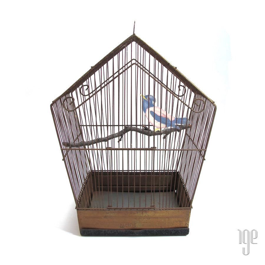 Pacific Vintage Brass Birdcage c.1950's